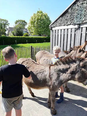 Pipowagen Camping Puur Genieten