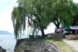 Ufer am See mit Weiden, Steinstufen und Sitzplätzen; im Hintergrund Zelte und ein kleines Verkaufsstand am Campingplatz.