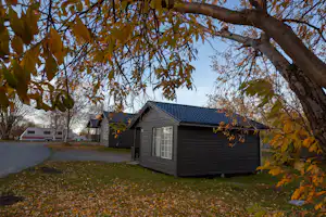 Camping-Häuschen mit Holzfassade und Fensterfront, im Vordergrund Rasen und Laub unter einem Baum.