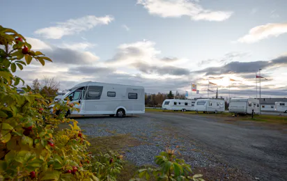 PlusCamp Saltstraumen