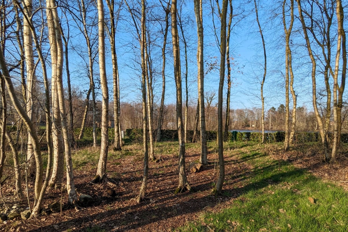 Campingplatz Papenburg - Von Bäumen bewachsener Campingplatz