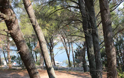 Aminess Planet Camping Port9