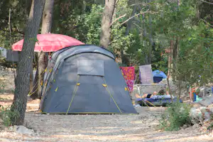 Port 9 Camping - Zeltstellplatz unter Bäumen auf dem Campingplatz