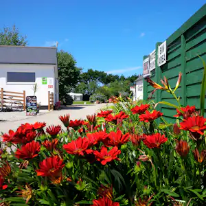 Rote Blumenbeete vor einem Campinggebäude und einem grünen Holzzaun, im Hintergrund Wege und weitere Gebäude.