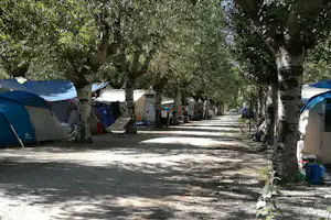 Porto Turistico Residence Marina 3B - Wohnwagen- und Zeltstellplatz unter Bäumen auf dem Campingplatz