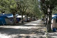 Porto Turistico Residence Marina 3B  -  Wohnwagen- und Zeltstellplatz unter Bäumen auf dem Campingplatz