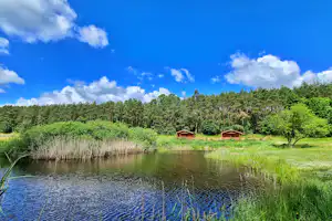 Ruhiger See mit Ufergras und Bäumen, im Hintergrund grüne Wiesen und kleine Gebäude am Campingplatz.
