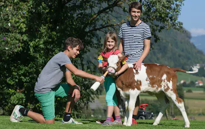 Prefelnig Hof