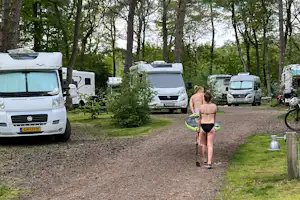 Premium Camper Plaats 't Hulsbeek - Stellplätze auf dem Campingplatz