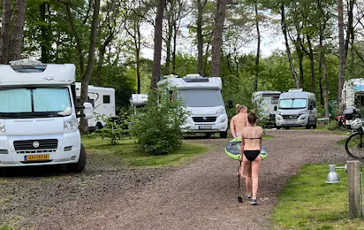 Toppark 't Hulsbeek