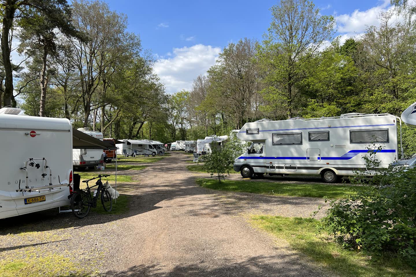Premium Camper Plaats 't Hulsbeek - Stellplätze im Schatten der Bäume