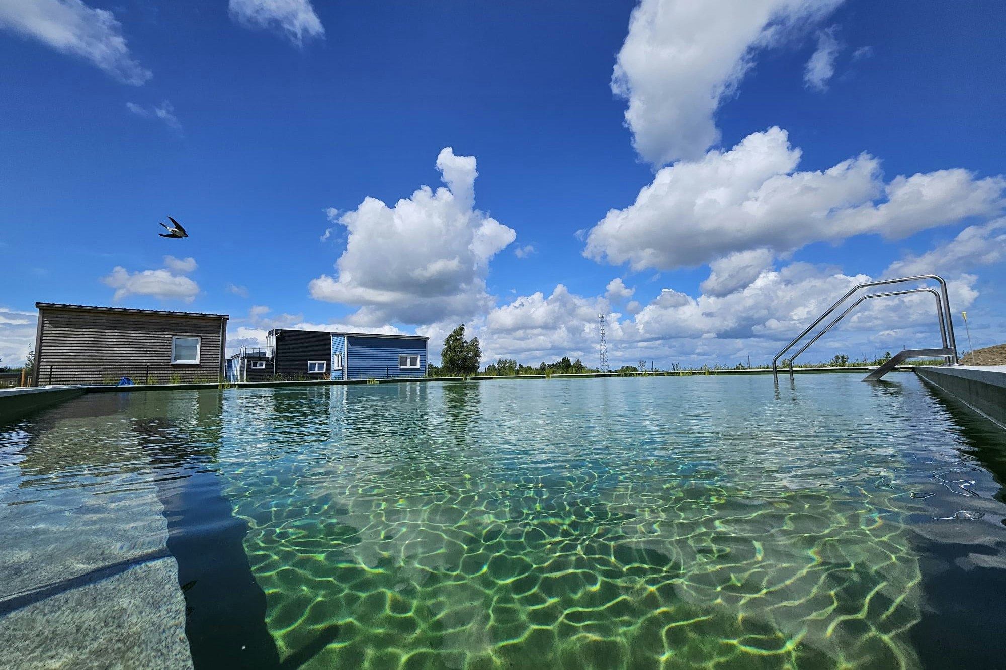 Prima Resort Boddenblick - Naturbadeteich auf dem Campingplatz