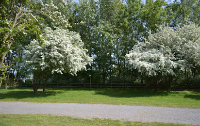 Priory Hill Holiday Park
