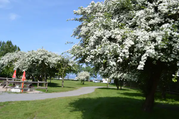 Priory Hill Holiday Park