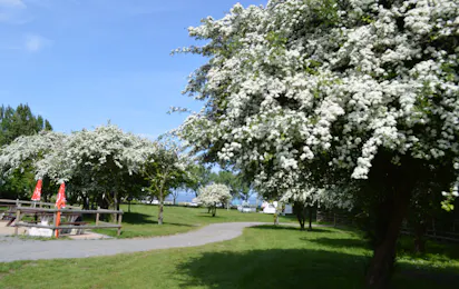 Priory Hill Holiday Park