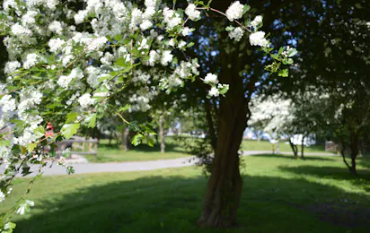 Priory Hill Holiday Park
