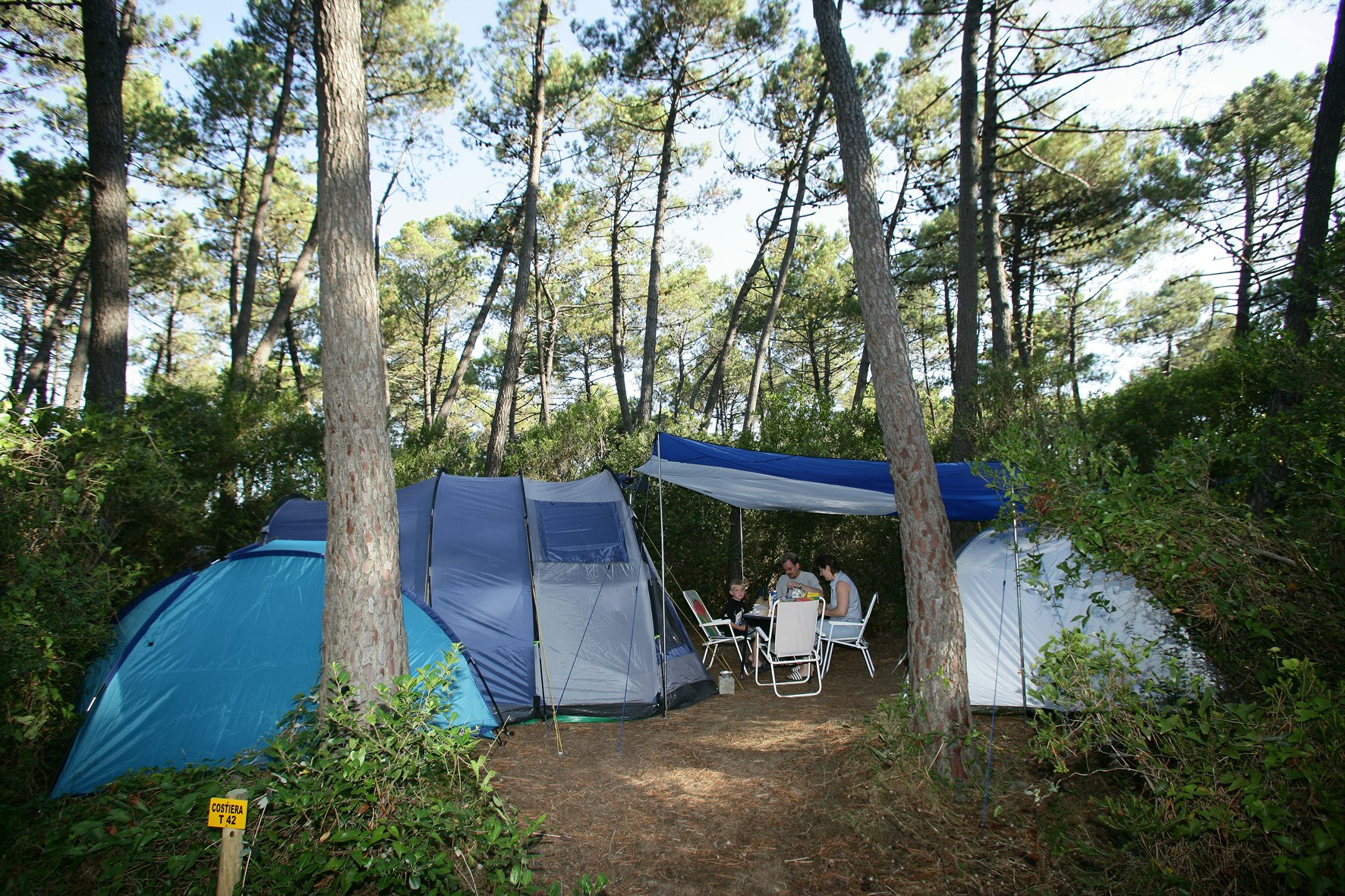 PuntAla Camp & Resort - Standplätze zwischen den Bäumen auf dem Campingplatz
