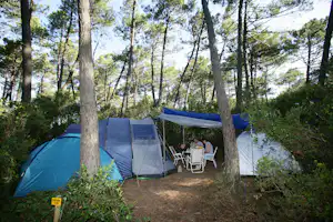 PuntAla Camp & Resort - Standplätze zwischen den Bäumen auf dem Campingplatz