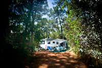 PuntAla Camping Resort  -  Wohnmobilstellplatz zwischen Bäumen auf dem Campingplatz