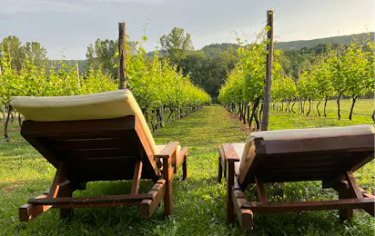 Purple Eye Estate – Camp & Winery