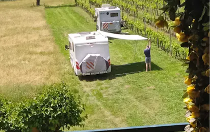Purple Eye Estate – Camp & Winery