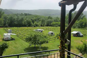Purple Eye Estate – Camp & Winery - Standplätze zwischen den Weinreben