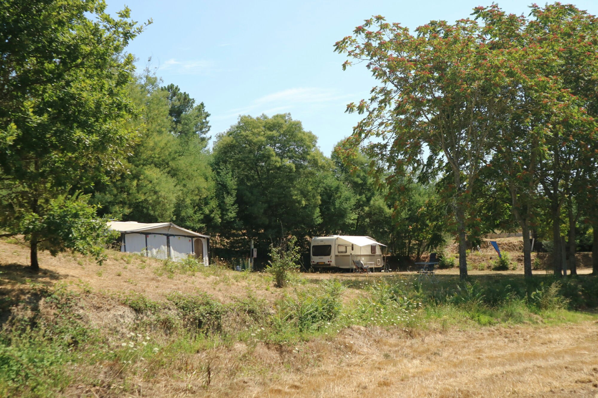 Quinta do Retiro  Camping Quinta do Retiro - Standplätze zwischen Bäumen