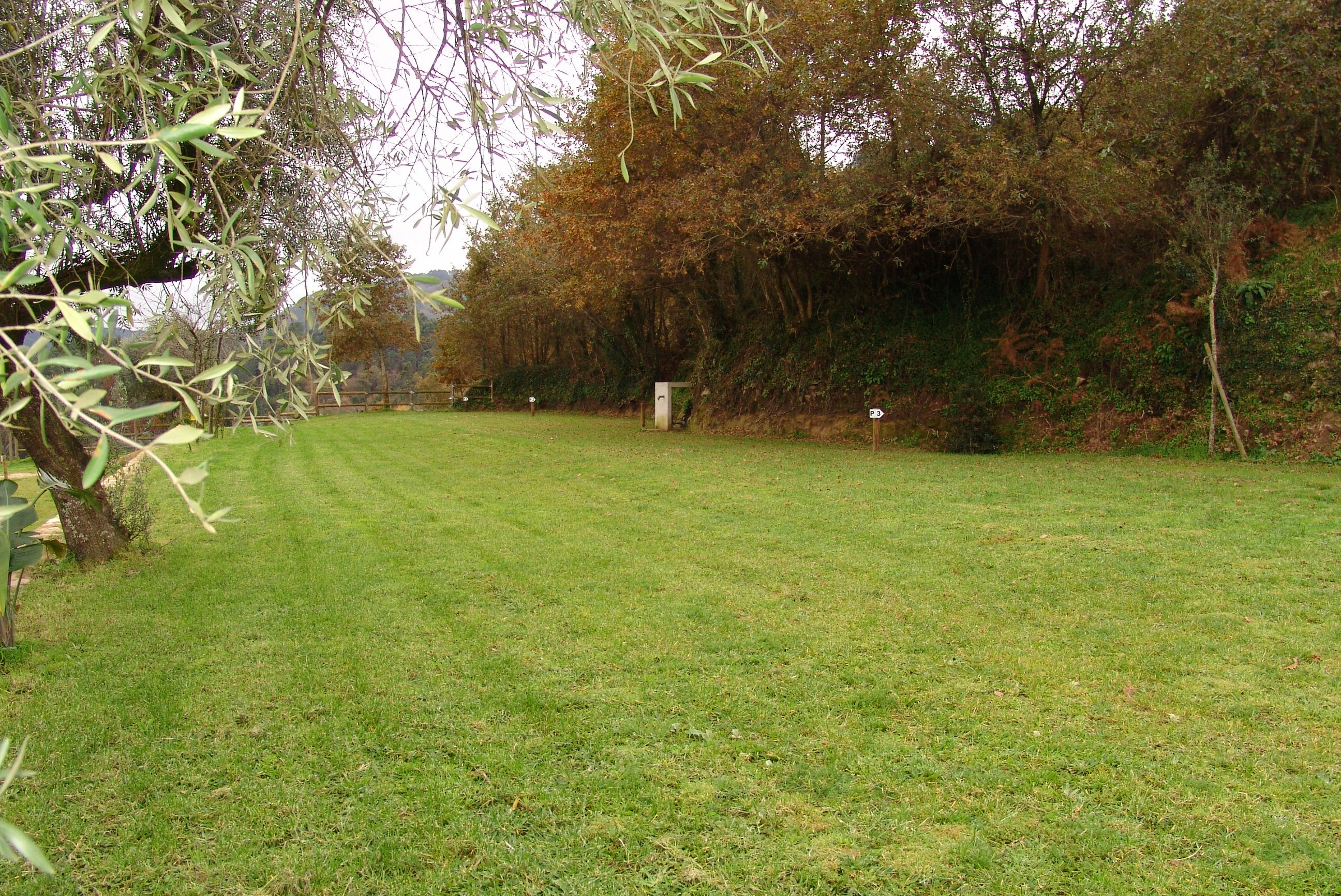 Quinta Santa Marinha - Standplätze auf der Wiese auf dem Campingplatz