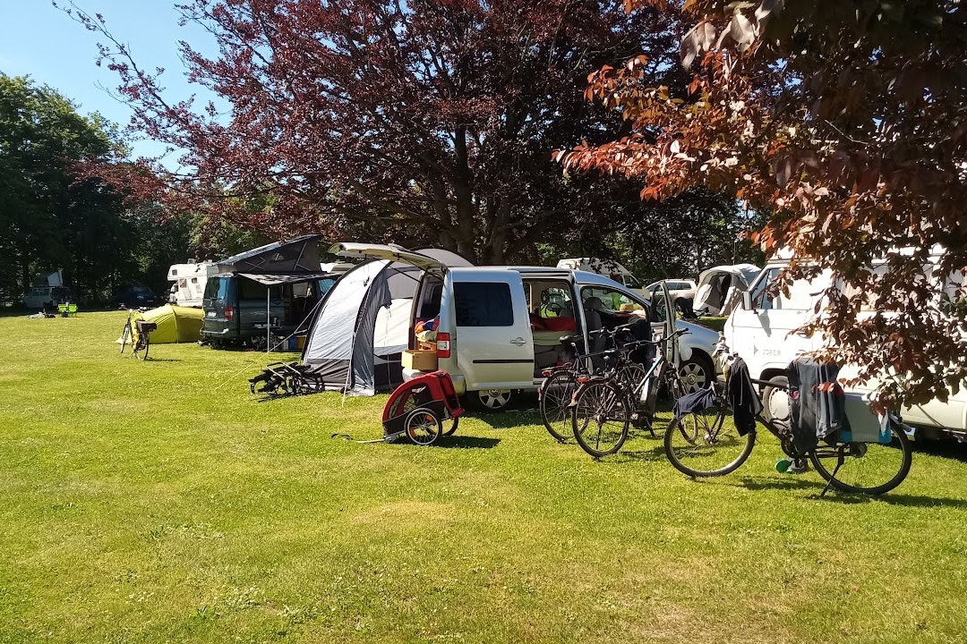 Årø Camping - Standplatzwiese auf dem Campingplatz