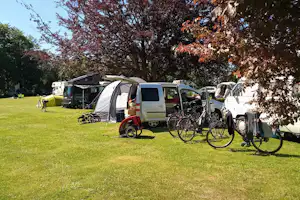Årø Camping - Standplatzwiese auf dem Campingplatz