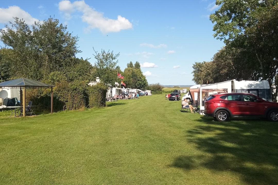 Årø Camping - Standplatzwiese auf dem Campingplatz