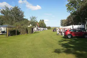 Årø Camping - Standplatzwiese auf dem Campingplatz