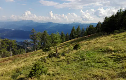 Rad-Wandercamping Irschen
