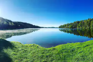 Ruhiger See mit spiegelnder Wasseroberfläche, grüner Uferböschung und dichtem Wald entlang der Küste.