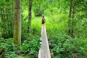 Ein schmaler Holzsteg führt durch den grünen Wald, mit Steinen am Rand und einer Person im Hintergrund.
