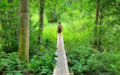 Ragnerudssjöns Camping