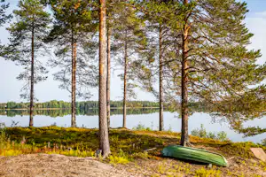 Grüner Campingplatz am See mit Reihe hoher Bäume und einem grünen Liegestuhl am Ufer.