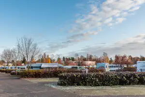 Wohnwagen und Campingbusse auf einem Stellplatz, umgeben von Büschen und Bäumen am Rand eines Campingplatzes.