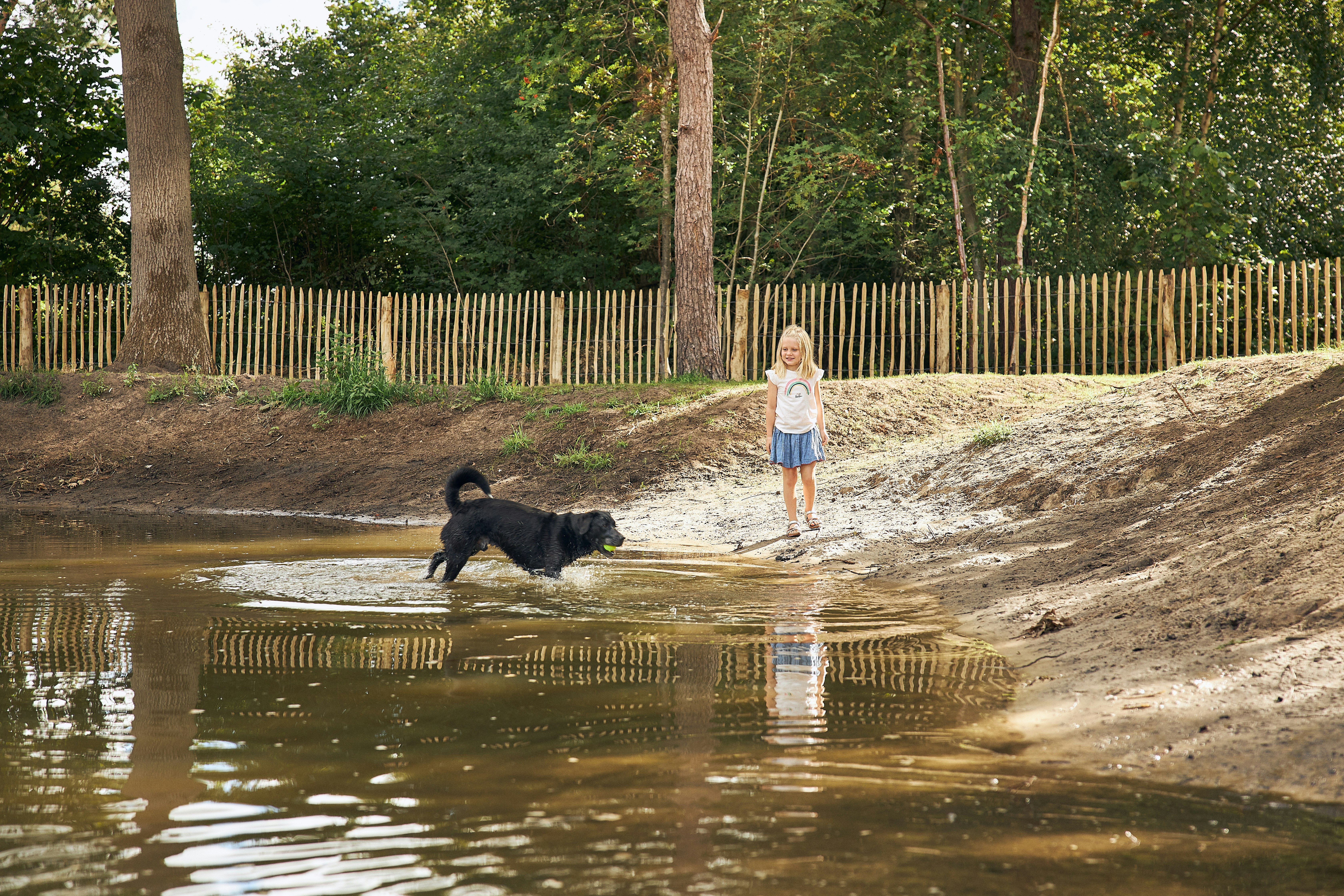 RCN Camping De Flaasbloem Hundspeilplatz mit Hundestrand auf dem Campingplatz