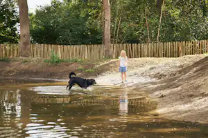RCN Camping De Flaasbloem Hundspeilplatz mit Hundestrand auf dem Campingplatz