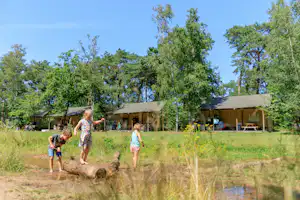RCN Camping De Flaasbloem spielende Kinder und im Hintergrund Lodgezelt-Mietunterkünfte