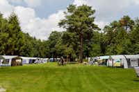 RCN Camping De Jagerstee -  Wohnwagenstellplätze im Grünen auf dem Campingplatz