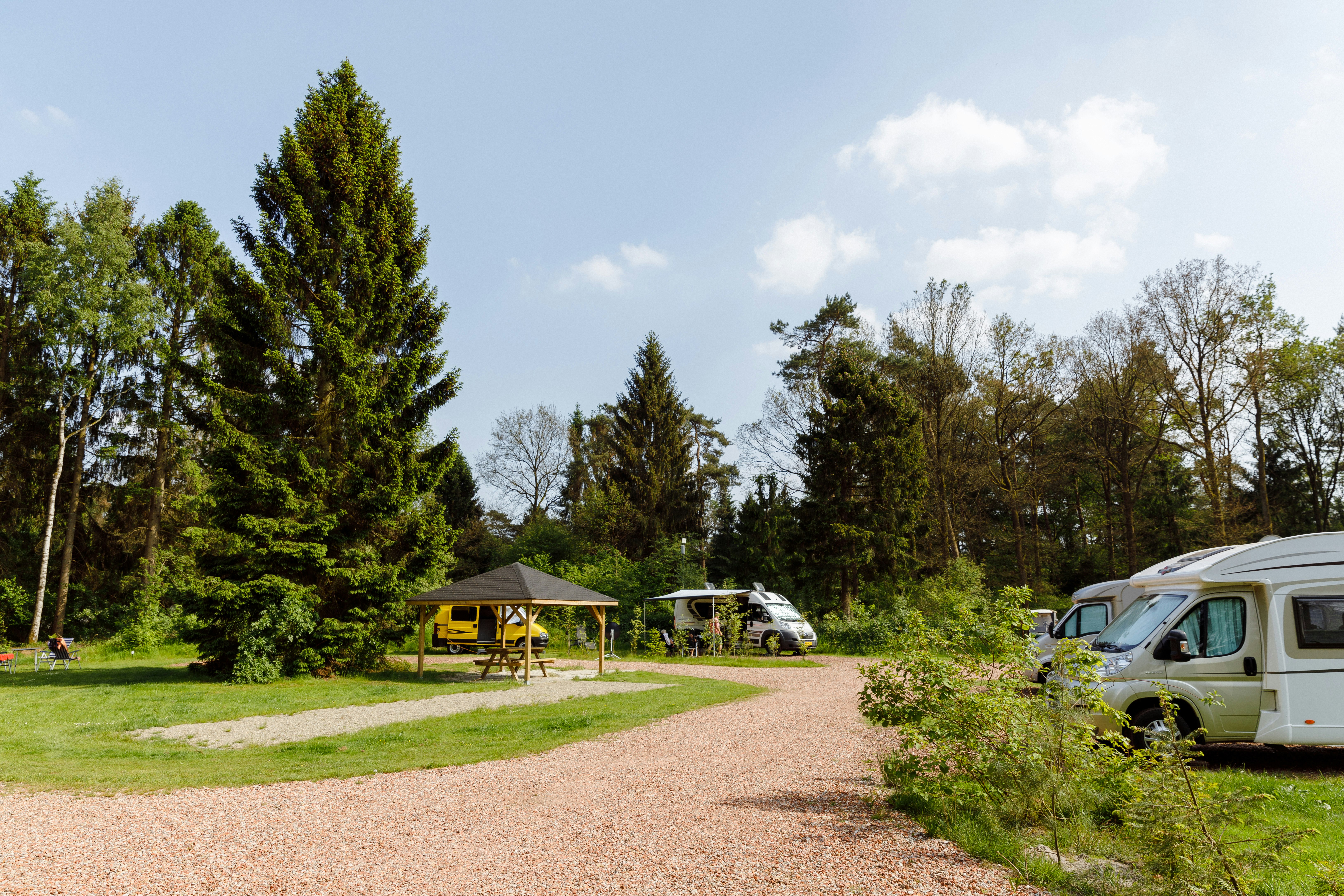 RCN Camping De Roggeberg - Wohnwagenstellplatz und Wohnmobilstellplatz vom Campingplatz zwischen Bäumen  und einem überdachten Picknicktisch