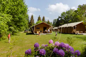 RCN De Roggeberg - Kinder spielen Fußball auf der Wiese vor den Glamping-Zelten