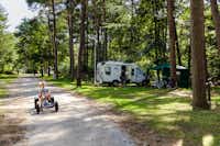 RCN Camping Het Grote Bos -  Campingbereich für Zelte und Wohnwagen im Schatten der Bäume