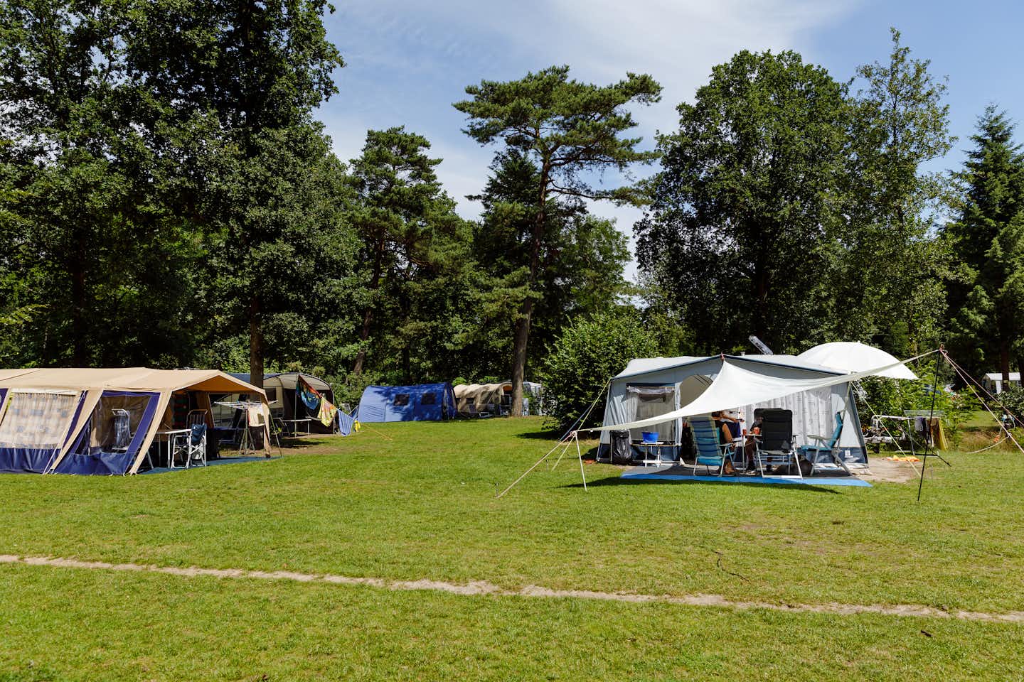 RCN Camping Het Grote Bos -  schattiger Wohnmobilstellplatz im Grünen auf dem Campingplatz 