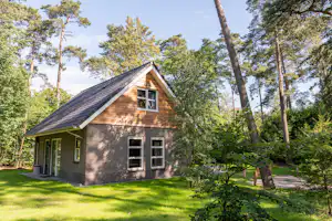 RCN Vakantiepark Het Grote Bos - Mobilheim mit Terrasse auf dem Campingplatz