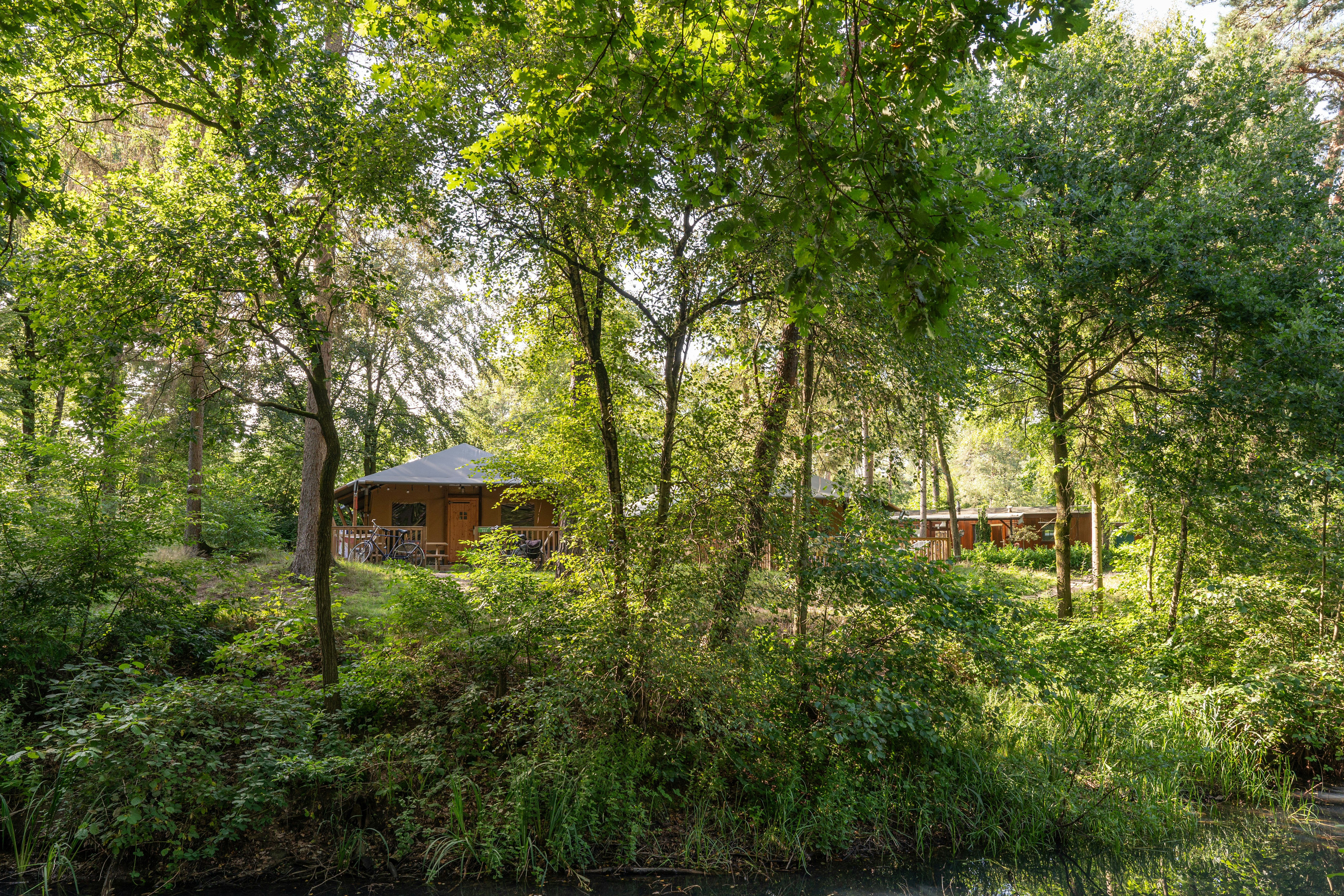 RCN Vakantiepark Het Grote Bos  - Mobilheime auf dem Campingplatz