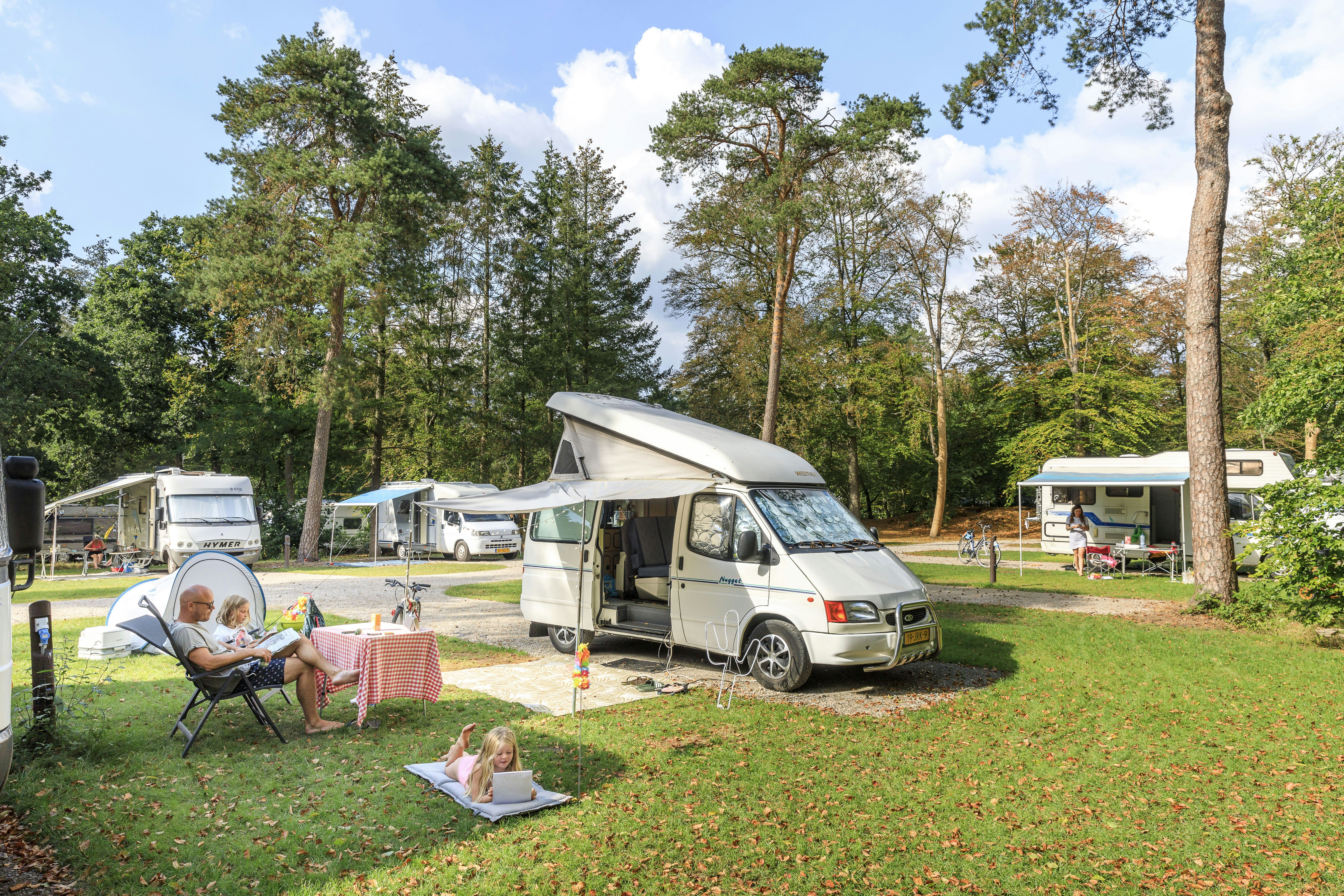 RCN Vakantiepark Het Grote Bos - Standplätze auf der Wiese auf dem Campingplatz