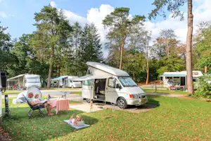 RCN Vakantiepark Het Grote Bos - Standplätze auf der Wiese auf dem Campingplatz
